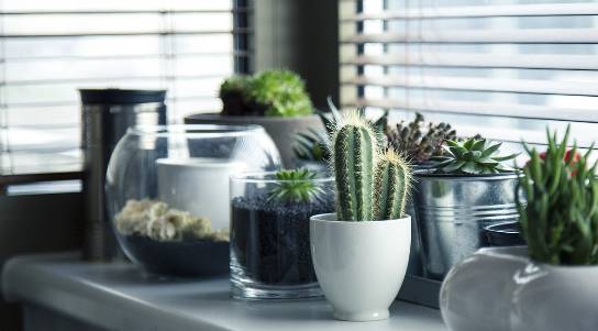 장마철 실내 습기 제거 꿀팁 총정리|곰팡이·냄새 없이 쾌적한 여름나기