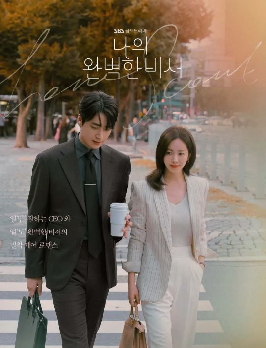 나의 완벽한 비서 드라마 포스터 사진