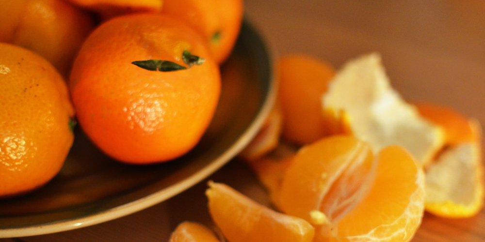 강아지 귤 먹어도 되나요? (+ 반려견 귤 급여량 )