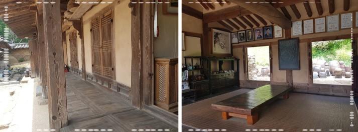 🌼 2026 서산 유기방가옥 수선화: "고택을 감싸는 노란 물결의 향연"