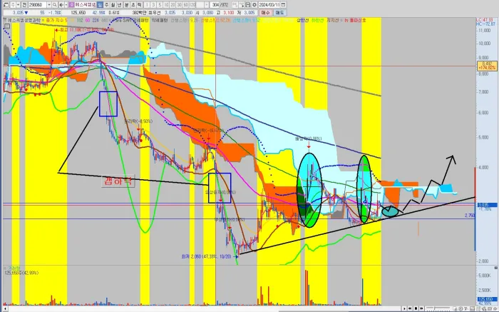 에스씨엠생명과학-일봉-차트-정밀-분석-공략-시나리오
