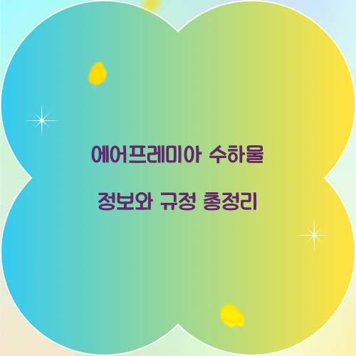 에어프레미아 수하물