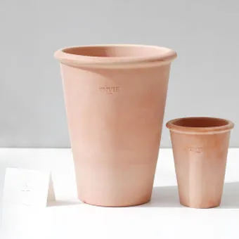 토분 관리 세척요령 흰가루제거 배수력장점 물주기 타이밍 맞추기_30