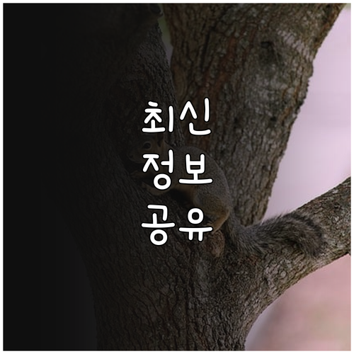 2025 세종 벼 직불금 소득안정 버..