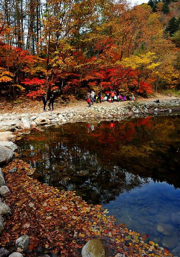 2025 오대산 단풍 절정 시기 공개! 가을 일정 &amp; 인기 등산 코스 TOP 5