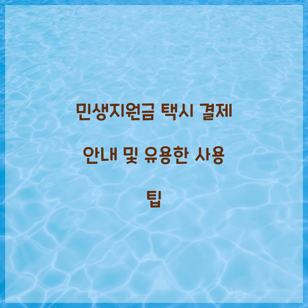 민생지원금 택시 결제