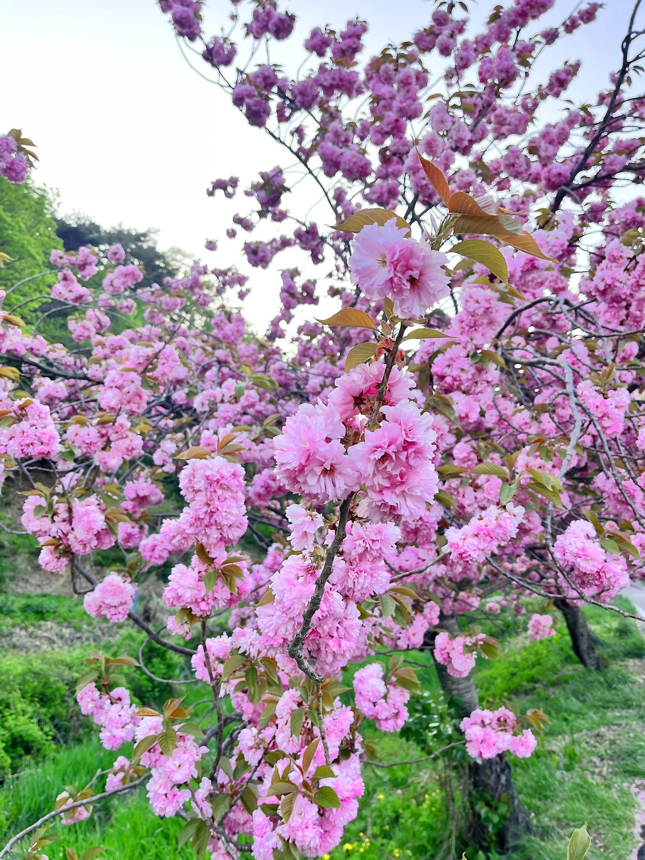 문수사