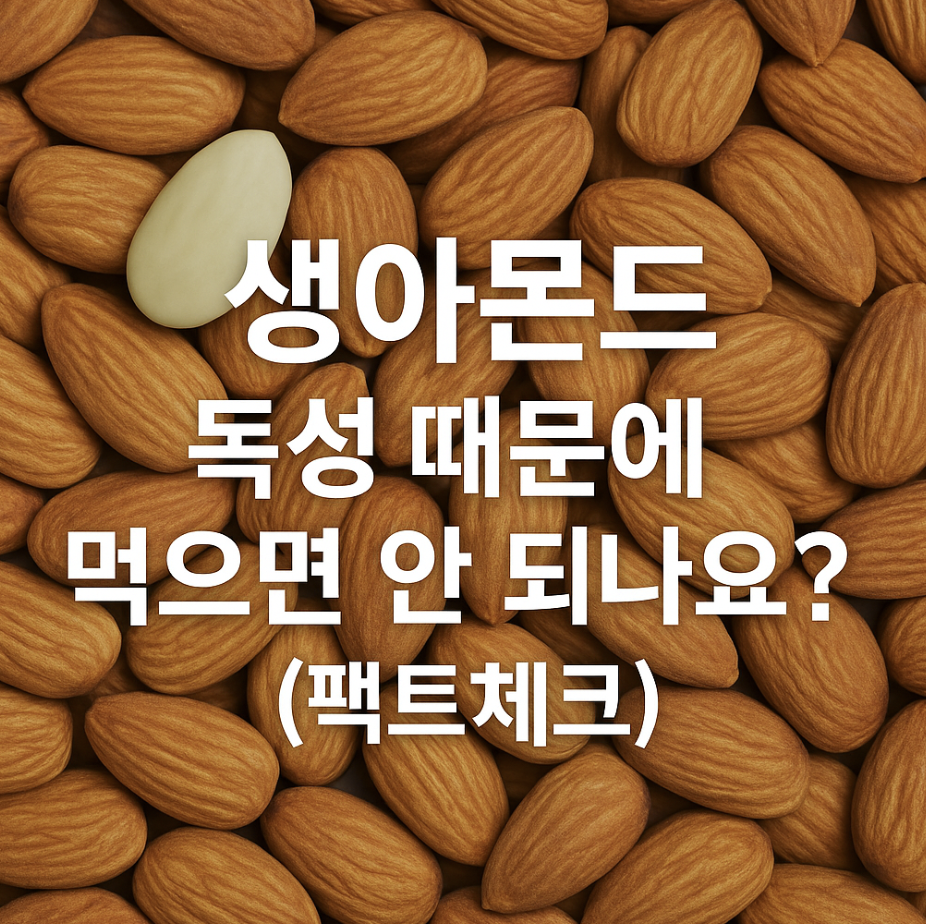 생아몬드, 독성 때문에 먹으면 안 되나요? (팩트체크)