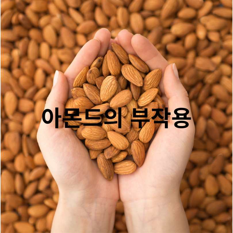 아몬드 효능과 부작용, 하루 섭취량 총정리