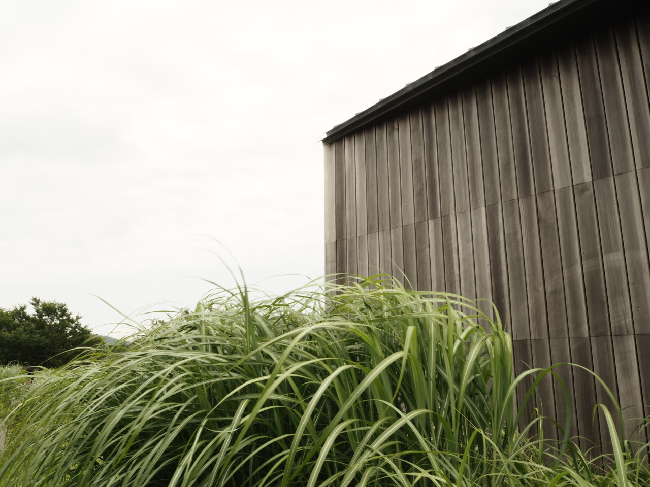 풍 뮤지엄 외부