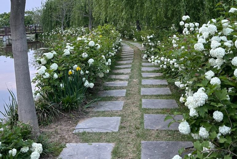 나는솔로 17기 촬영장소