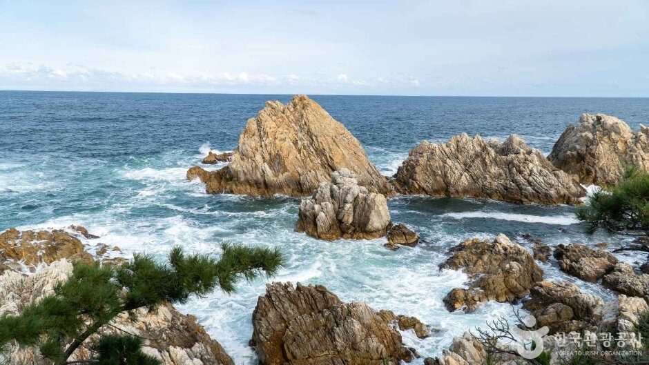 삼척 가볼만한곳 베스트 10