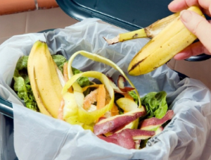 음식물 쓰레기 꿈 쓰레기 꿈 분리수거 하는 꿈