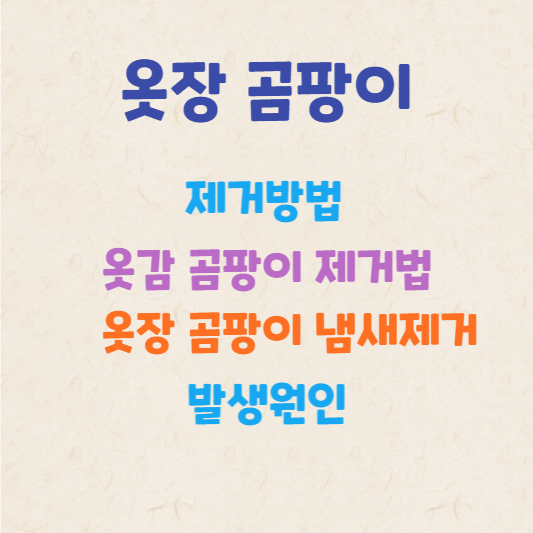 옷장곰팡이제거