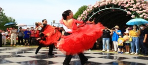 곡성 장미축제 증기기관차 레일바이크 사전 예약방법