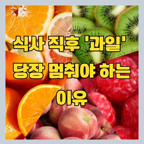 당뇨에 좋은 vs 나쁜 과일? 썸네일