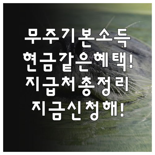 무주군 기본소득 무주사랑상품권 지급 ..