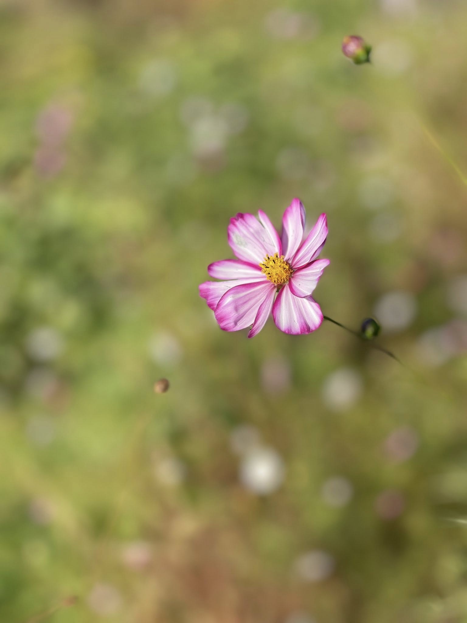 쌀쌀한 초겨울 저녁 감성 히어로 이미지