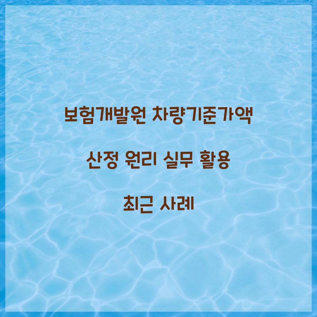 보험개발원 차량기준가액