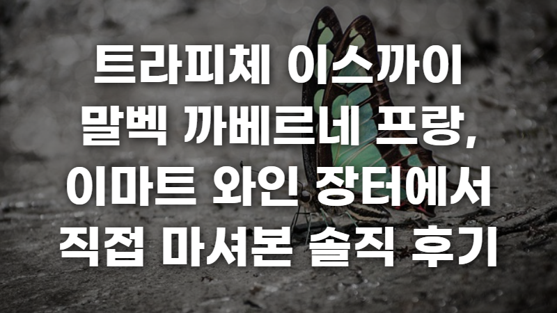 트라피체 이스까이 말벡 까베르네 프랑 사진 1