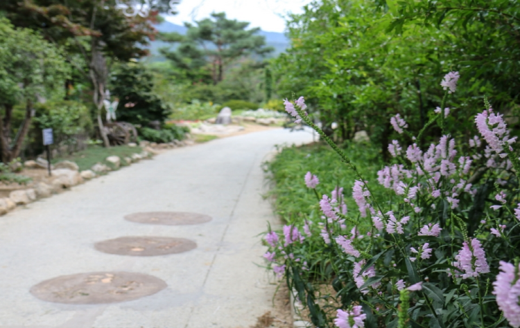 대구 네이처파크