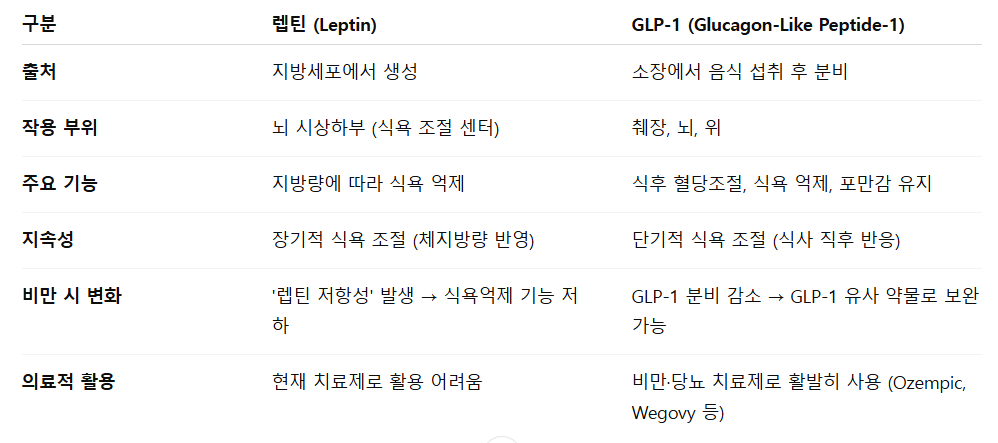 렙틴 vs GLP-1 차이 요약