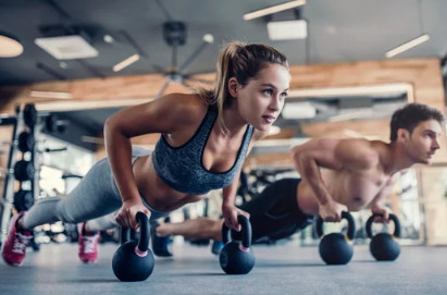 아슈와간다(Ashwagandha)