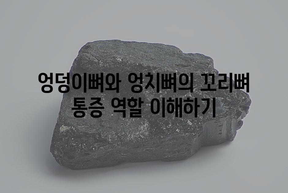 엉덩이뼈와 엉치뼈의 꼬리뼈 통증 역할 이해하기