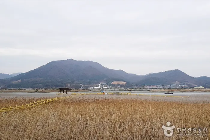 강진만 생태공원 전경 이미지