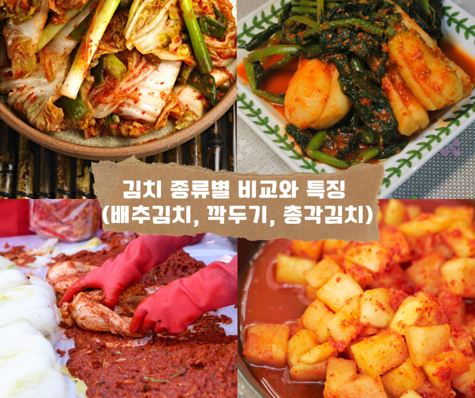 김치 종류별 비교와 특징 (배추김치, 깍두기, 총각김치)