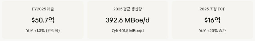 미국 저평가 주식- 퍼미안 리소시스01
