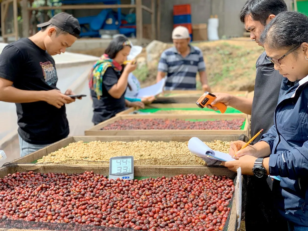 수확 후 처리 세척 건조 예냉 저장 온도 습도 관리_4