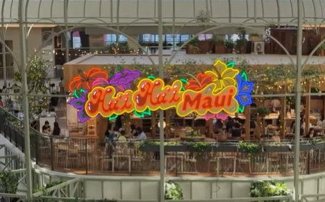 더현대서울 하와이 여름 팝업 &lt;후이 후이 마우이&gt;