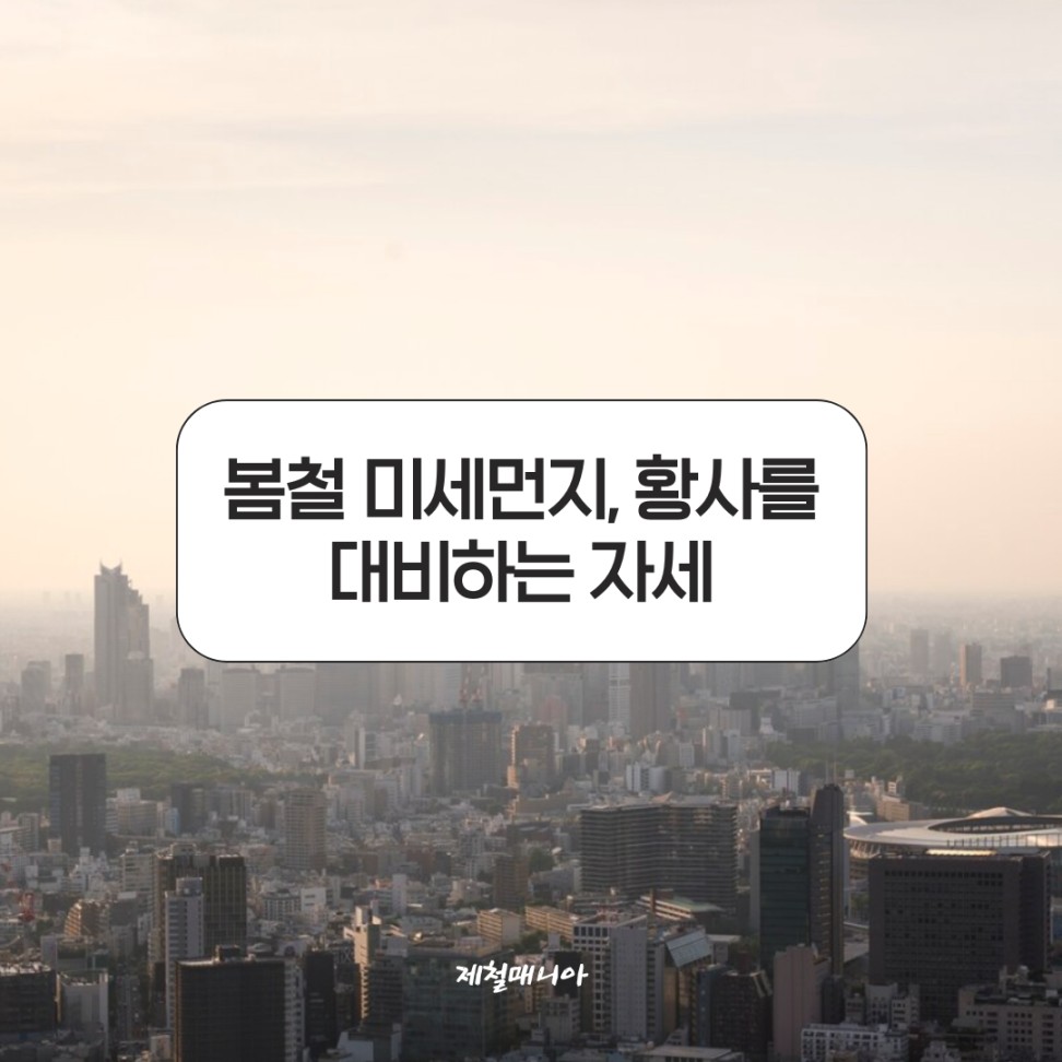 미세먼지