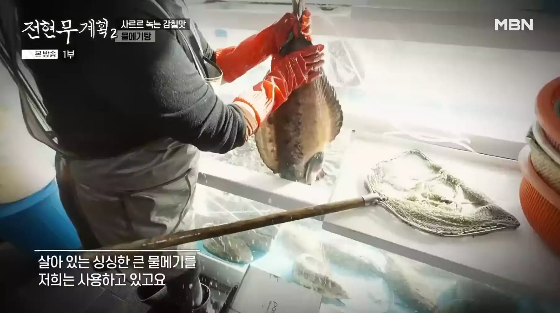 물메기