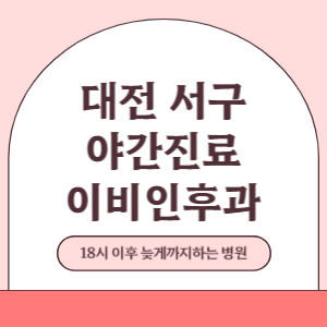 대전 서구 야간진료 이비인후과 병원 (18시 이후 늦게까지하는 병원)