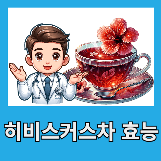히비스커스차 4가지 효능 부작용 칼로리
