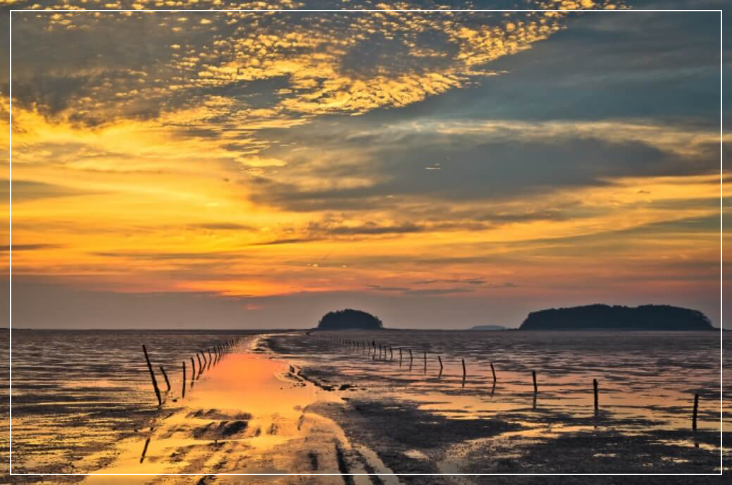 고창 가볼만한곳 베스트10 고창갯벌 세계자연유산센터 (하전&middot;만돌 체험 포함)