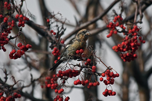  근로 자녀 장려금 내용 신청 기간 신청 방법