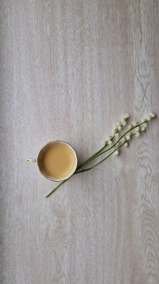 홈카페 필수템 이것만 알면 끝