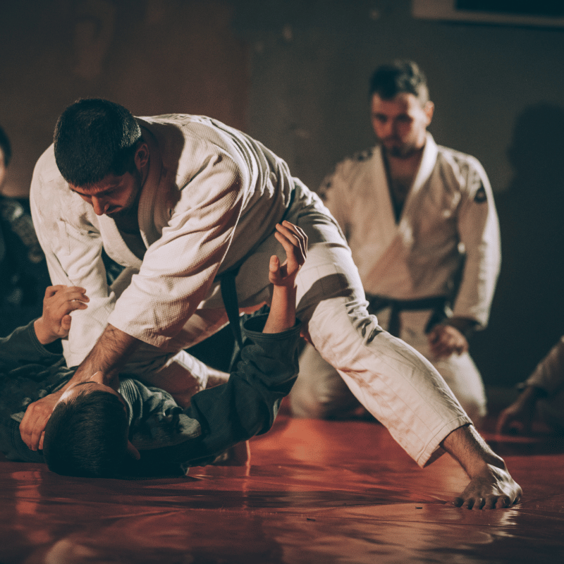 ufc 무료 시청, 정찬성 할로웨이