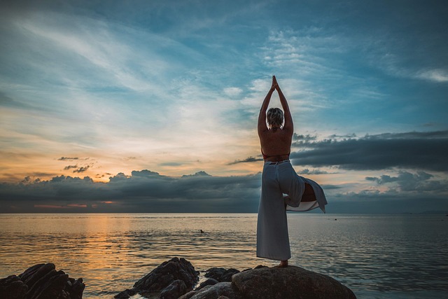 yoga 관련사진