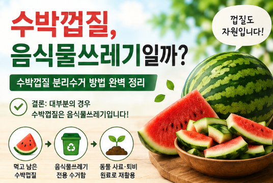 "버리기 전에 꼭 보세요..." 수박껍질 분리수거 음식물쓰레기 여부 전부알려드림5