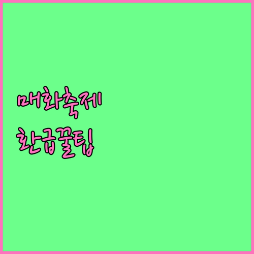 광양 매화축제 입장료 환급 팁과 백운..
