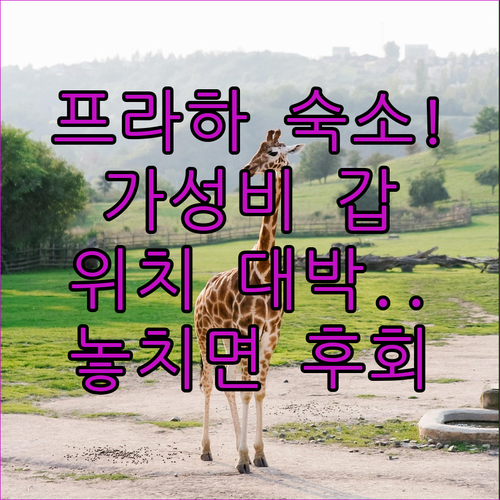 프라하 숙소 추천 베스트 5 위치와 ..