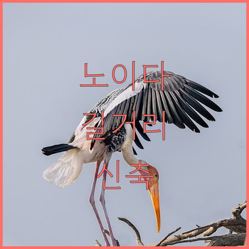 노이다 길거리 음식 5종 추천 및 근..