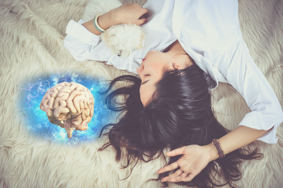 만성 스트레스와 기억력 저하의 관계