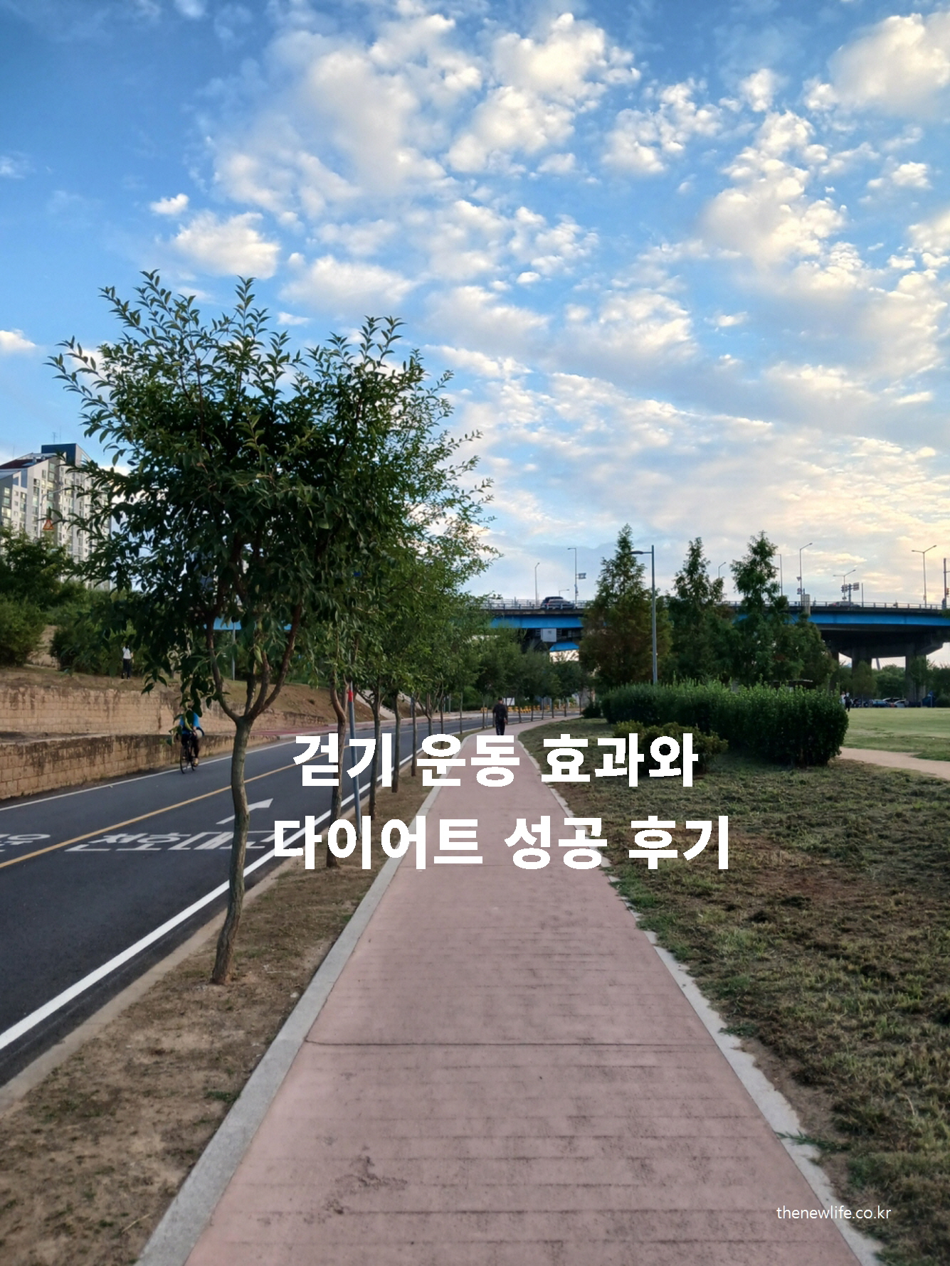 걷기 운동 효과와 다이어트 성공 후기 – 87.7kg에서 63.6kg까지 뱃살 감량 과정