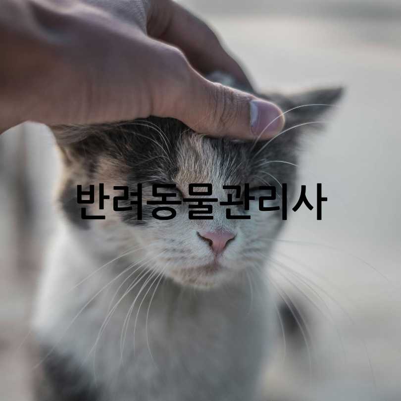 60대 여성 추천 자격증