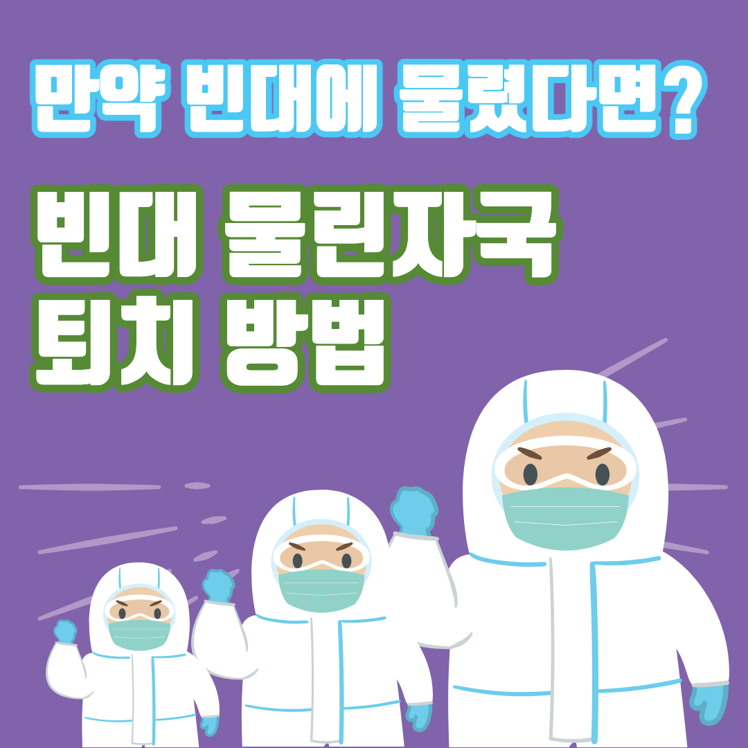 빈대 물린자국 섬네일